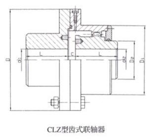 CLZ Gear Coupling