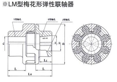LM Quincunx Elastic Coupling