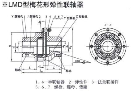 LMD Quincunx Elastic Coupling