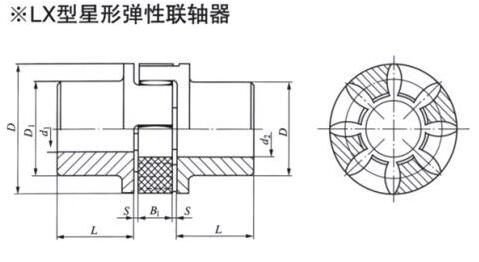 LX Star Elastic Coupling